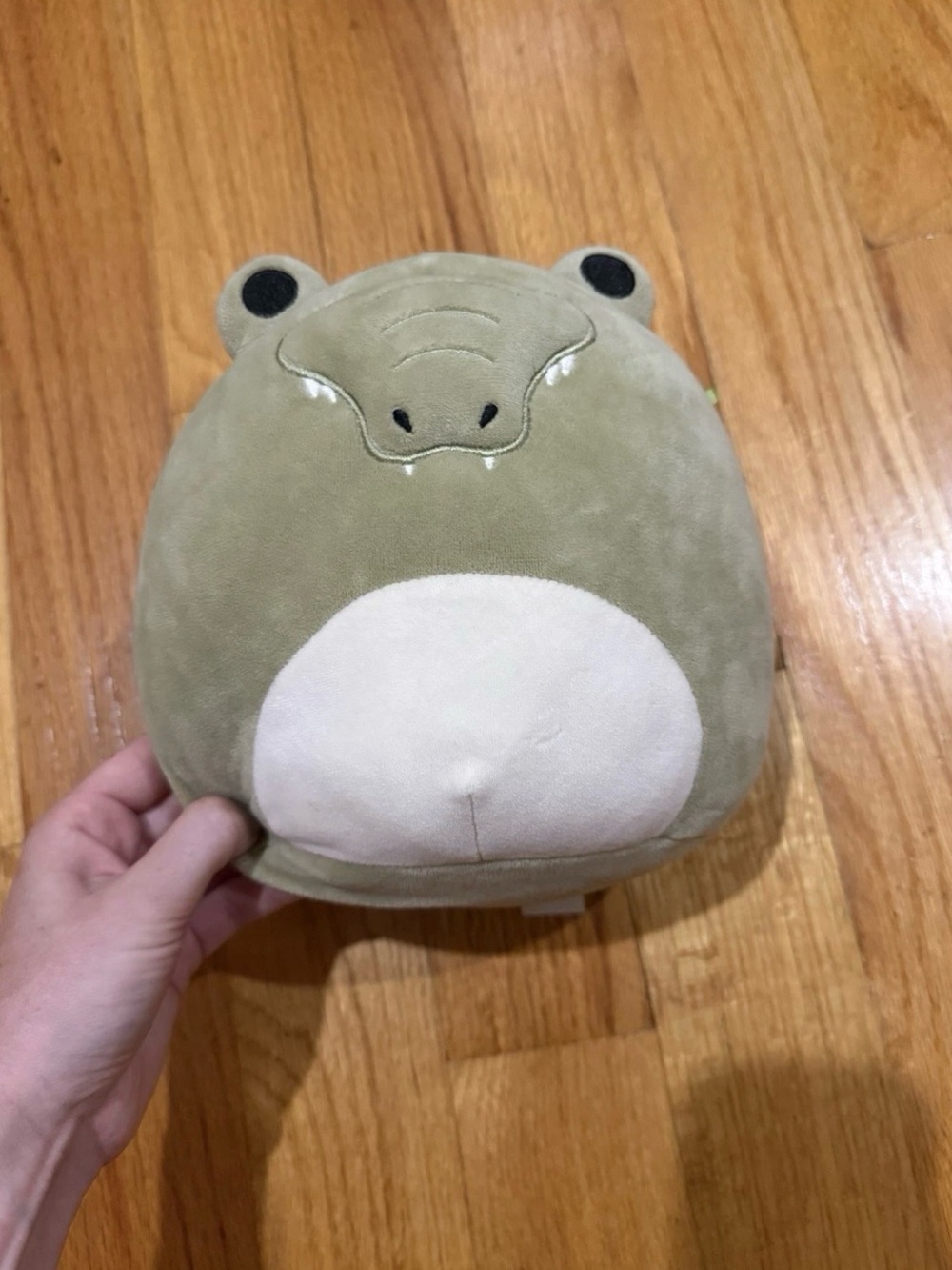 Squishmallow Green Alligator Plush 8" (Arthur/Ham) Original Kellytoy
